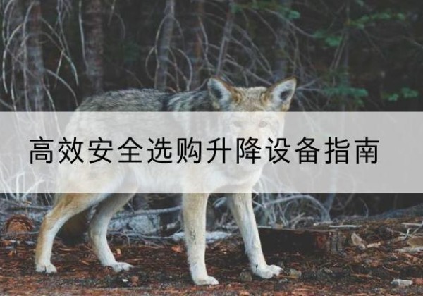 山东升降货梯厂家推荐-*安全选购升降设备指南
