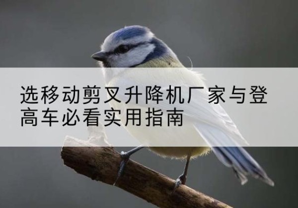 山东电动升降机厂家-选移动剪叉升降机厂家与登高车必看实用指南